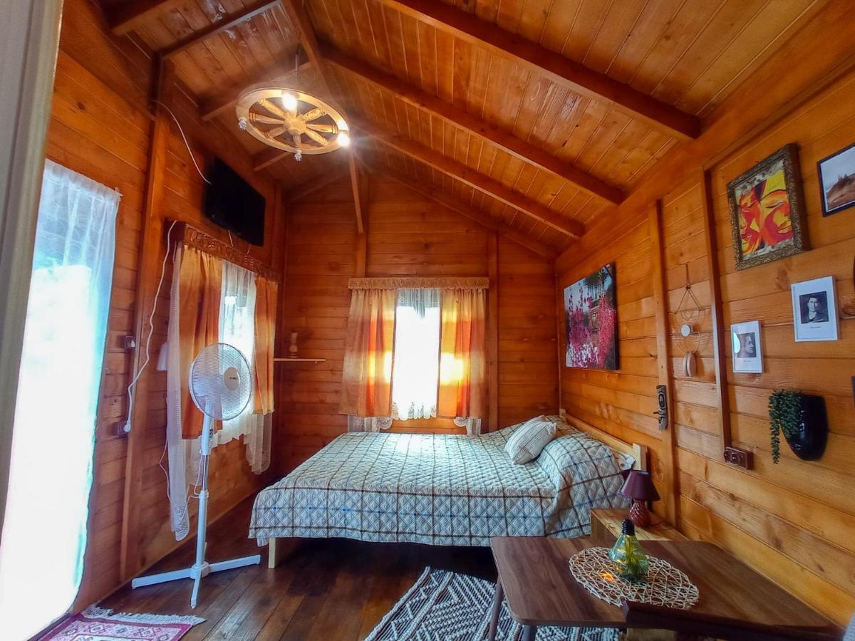 Casa La Agapia Bed & Breakfast Bagian luar foto
